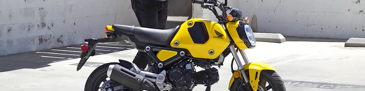 You are currently viewing 2022 Honda Grom First Ride 40418