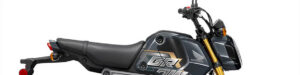 Read more about the article 2024 Honda Grom First Look Preview 60246