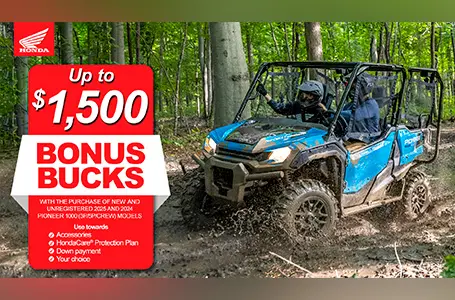 Read more about the article Bonus Bucks