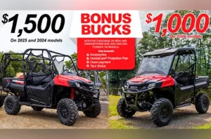 Read more about the article Bonus Bucks