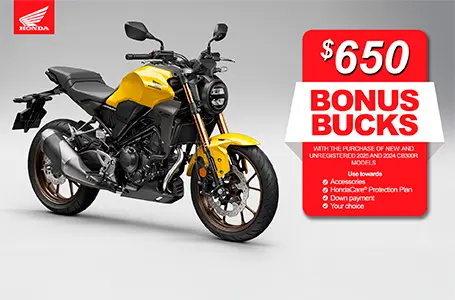 Read more about the article Bonus Bucks