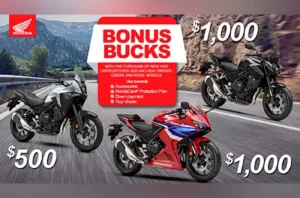 Read more about the article Bonus Bucks