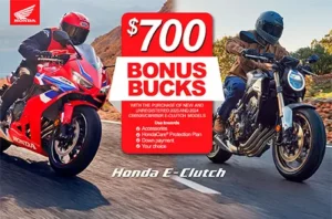 Read more about the article Bonus Bucks