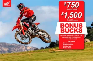 Read more about the article Bonus Bucks