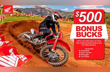 Read more about the article Bonus Bucks