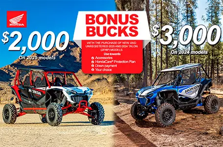 Read more about the article Bonus bucks