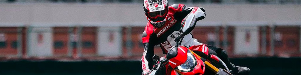 Read more about the article Ducatis Party Animal 58507