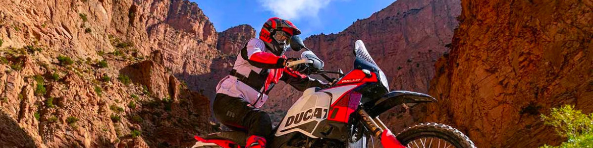 You are currently viewing First Look 2024 Ducati Desertx Rally 63969
