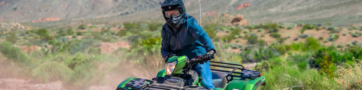 Read more about the article Review 2020 Honda Foreman And Foreman Rubicon 23182