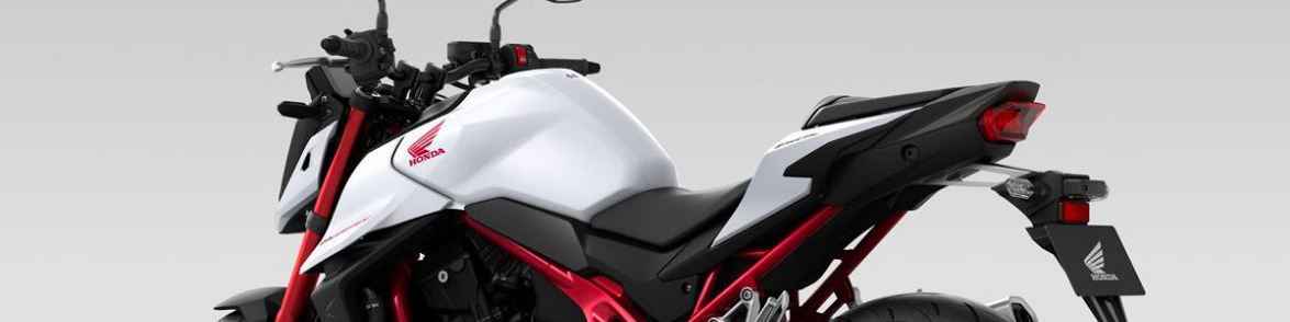 You are currently viewing The Honda Hornet Has Been Revealed 52690