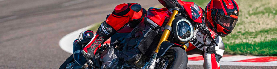 You are currently viewing The Coolest Monster Under Any Bed 55670