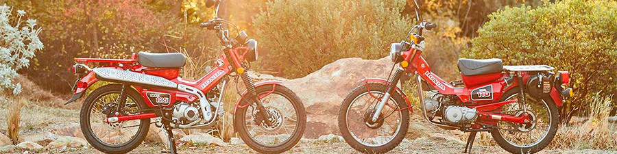 You are currently viewing Top 5 Minimotos For Houston 55564